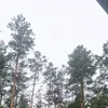 d1502564