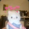 saazcjh_01