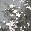 agxzlx