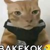 the_daffa