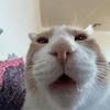manoutje_12