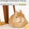 absorrrrrrrrrrrr