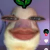 gengar...1