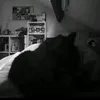 avamyy0