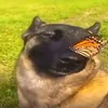 fazbearzazaa