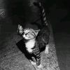 nabil_pamungkas