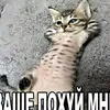 tt_oksu