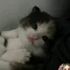 ftsimout_
