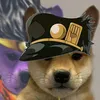 dogtaroauauau