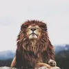 zaki_bvb
