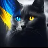 rebin_411