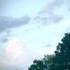 dreamandfingerling