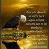 marlenebello710