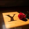 queen_my79