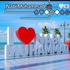 salihwalagga1