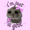 eya_b.brahim