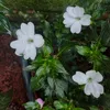 allicesouza929e