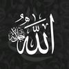 ahmedelkastawi3377