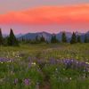 etherealsunsets444