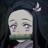 user039264204