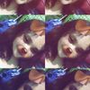 ikayaprilia