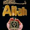 mehbare_1981