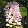 l.khch68