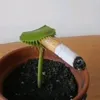 n0rompanlasb0las