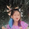 dybakvewlucr