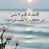httpsvt.tiktok.comzsa5rs