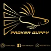 padker_guppy