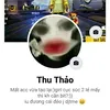 tthaoday2