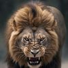 khan_bhai0777