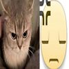 meowwwmeowwwmeowww