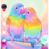 abd.elhamid.fawzy