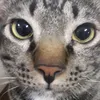 dee3360