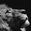 ben_ayaz_09