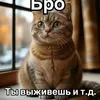 buddy_rit