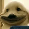 miscohangxom