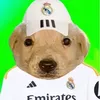 changbaoquemientay