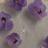 blissfulmind0101
