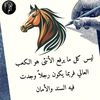 user87147730585585