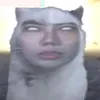 ryanjr1