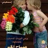 jamaljamal6528