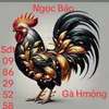 🥰..Ngọc Bảo..🥰