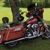 shanecarter1274