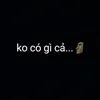 idolquang502