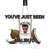 malibu.steve
