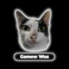 Gameq Wus
