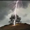 noq_86
